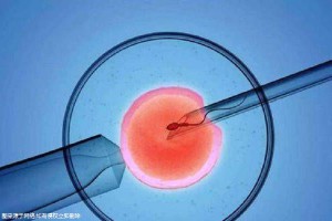 周启明 主任医师